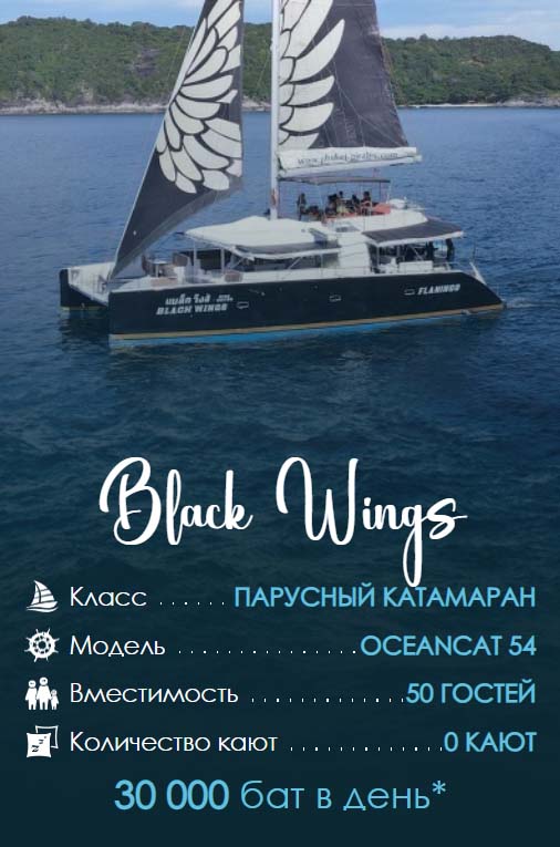 32. Black Wings